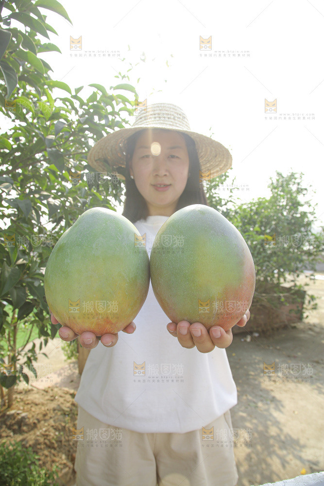 手里拿着新鲜凯特芒