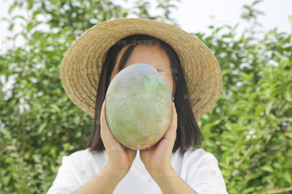 手里拿着新鲜凯特芒