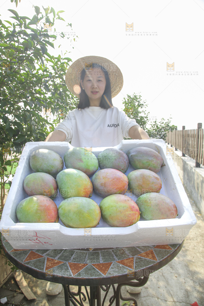手里拿着新鲜凯特芒