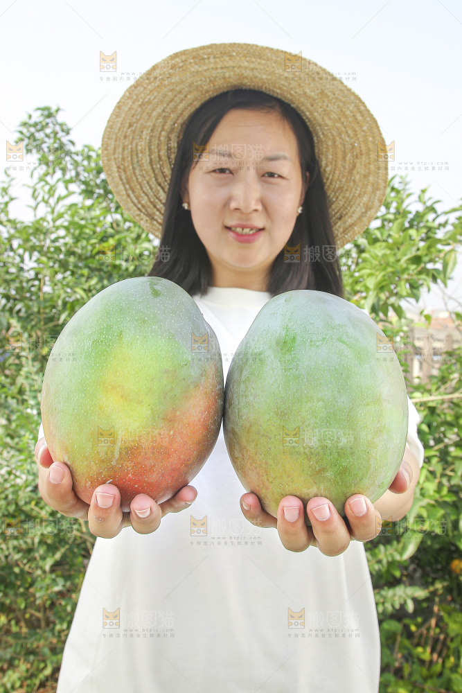 手里拿着新鲜凯特芒