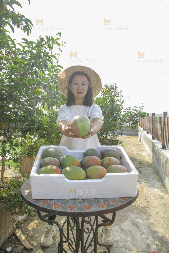 手里拿着新鲜凯特芒