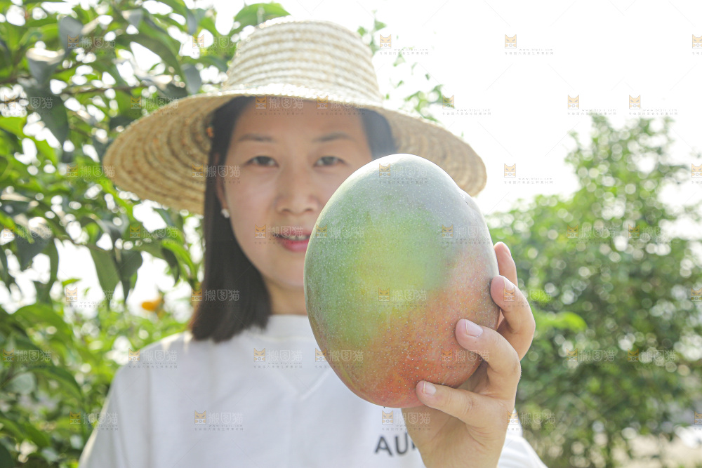 手里拿着新鲜凯特芒