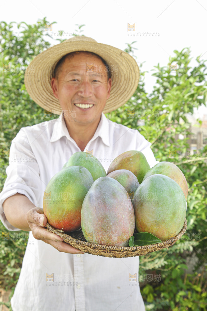 手里拿着新鲜凯特芒