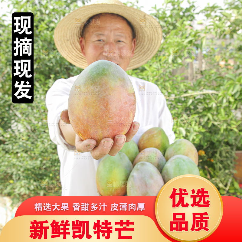 手里拿着新鲜凯特芒