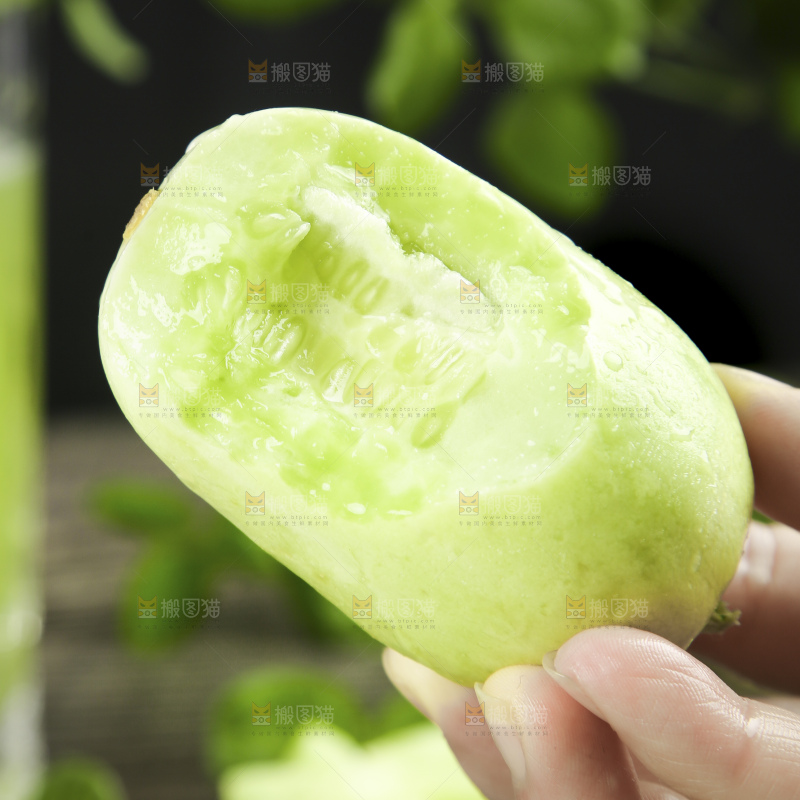 木底上的玉女黄瓜