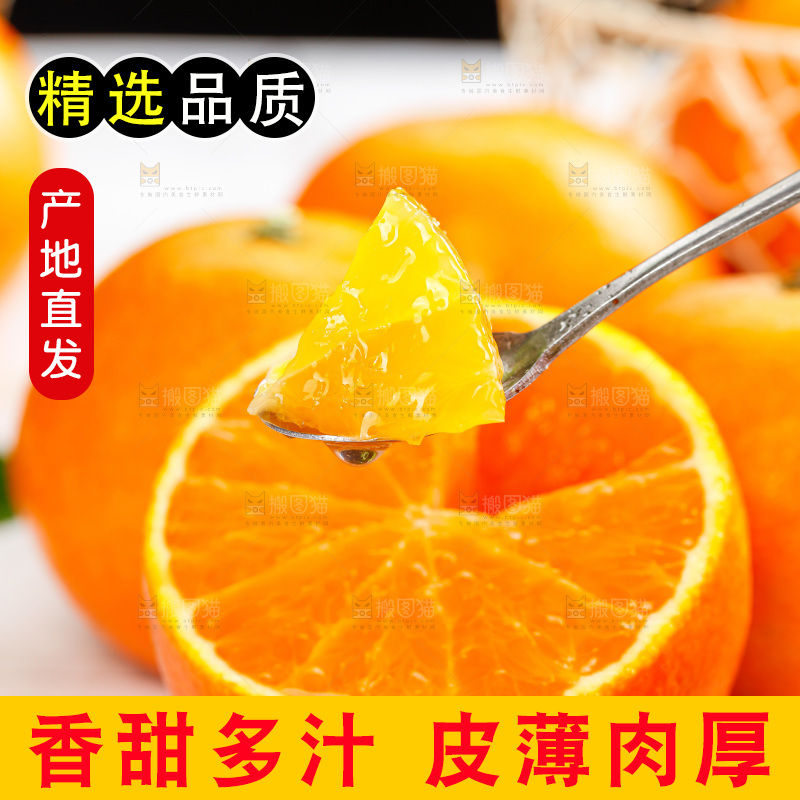 浅底上的爱媛果冻橙