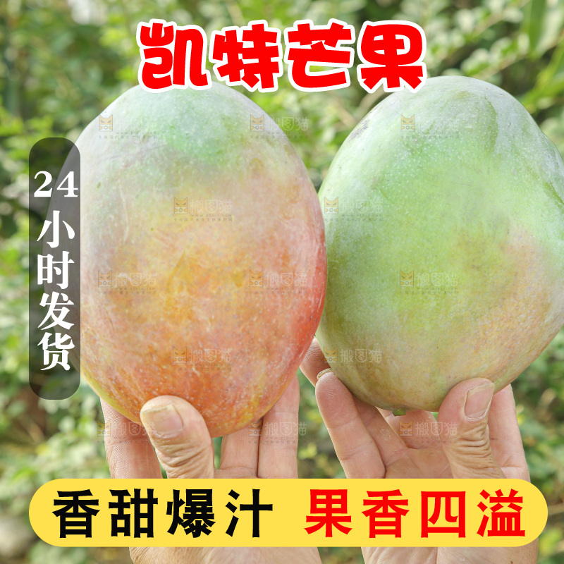 手里拿着新鲜凯特芒