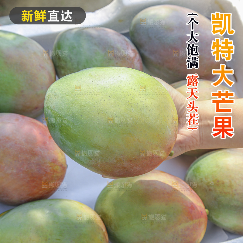 手里拿着新鲜凯特芒