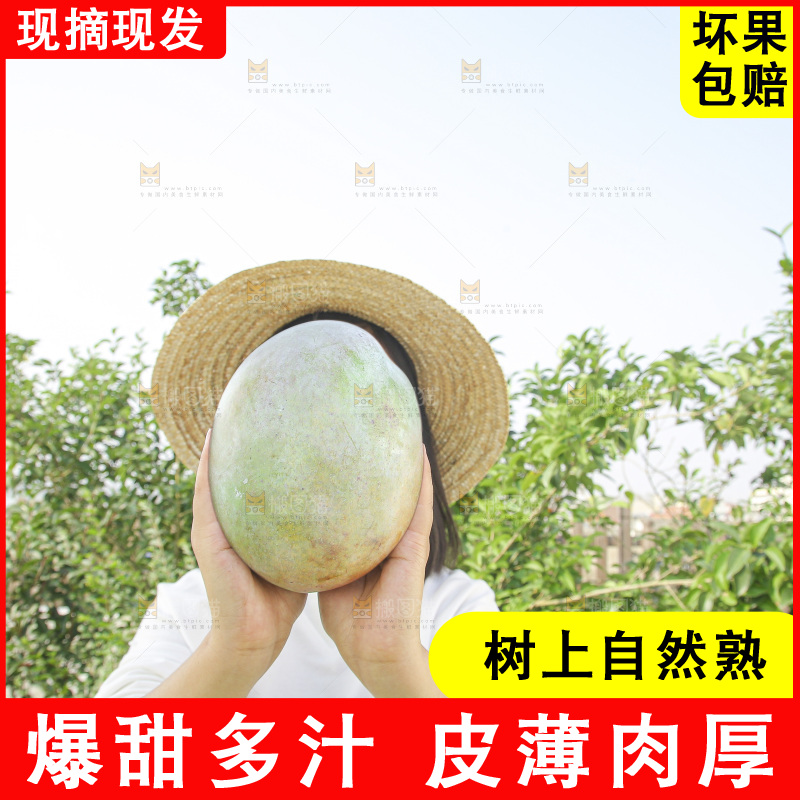 手里拿着新鲜凯特芒