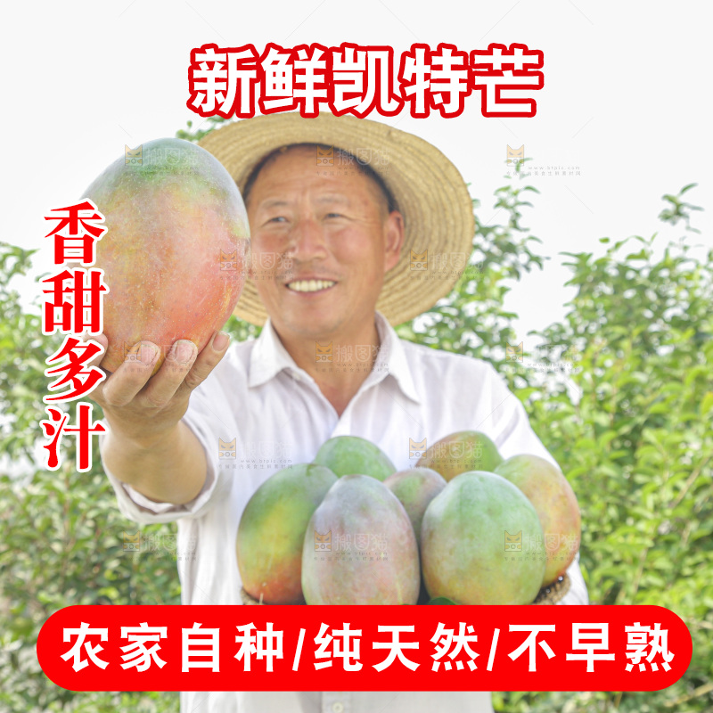 手里拿着新鲜凯特芒