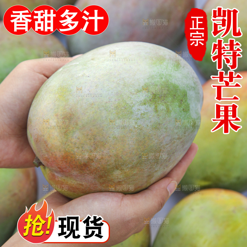 手里拿着新鲜凯特芒