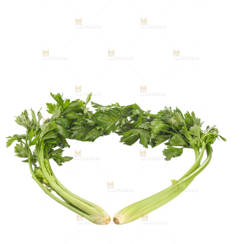 白底上的芹菜