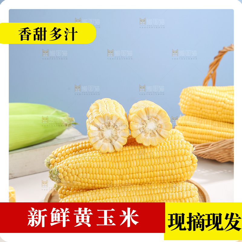 浅底上的黄玉米
