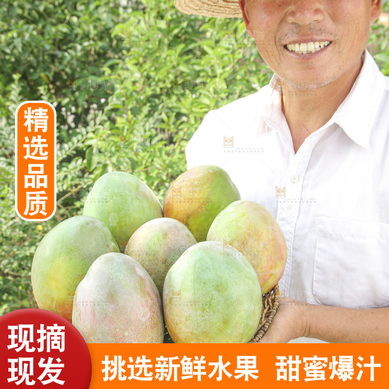 手里拿着新鲜凯特芒