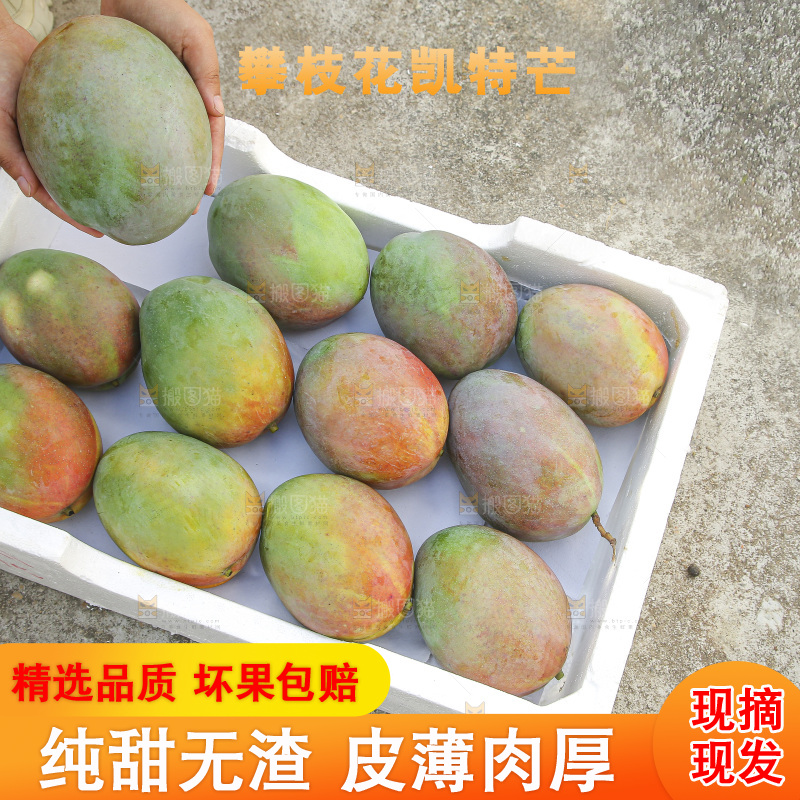 地上放着新鲜凯特芒