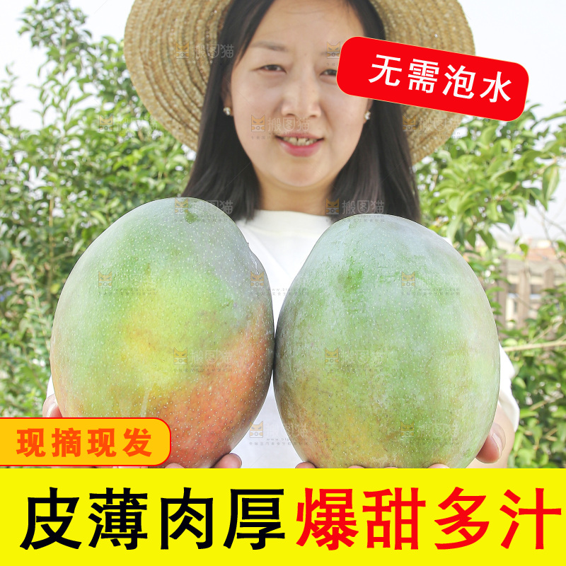 手里拿着新鲜凯特芒