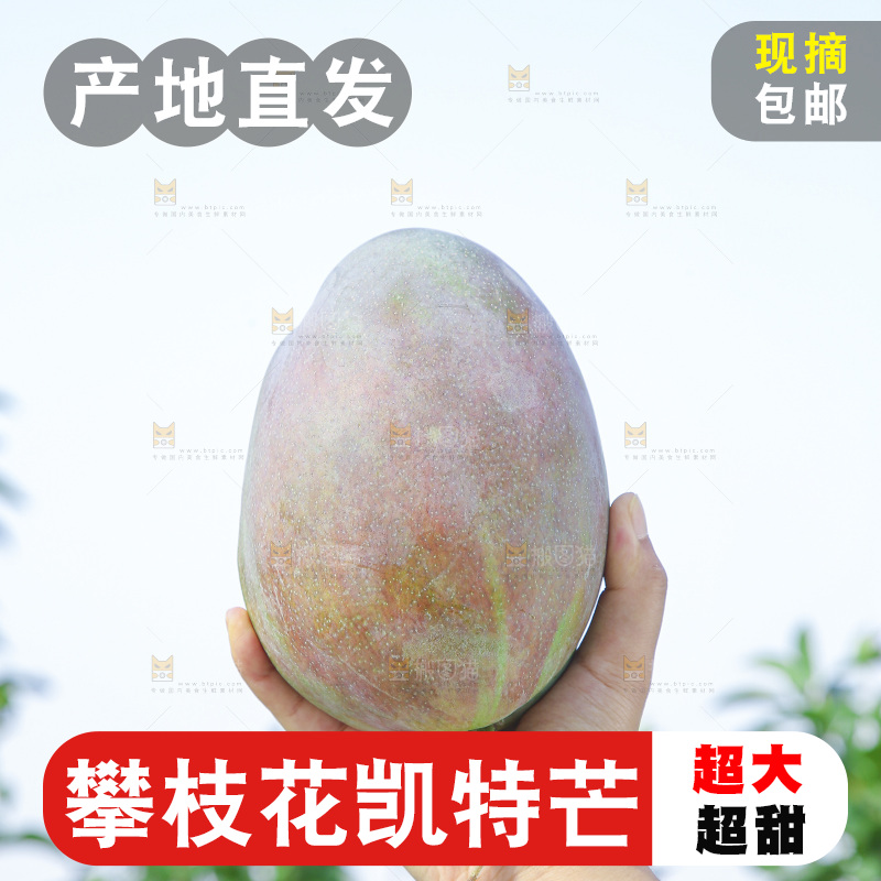 手里拿着新鲜凯特芒