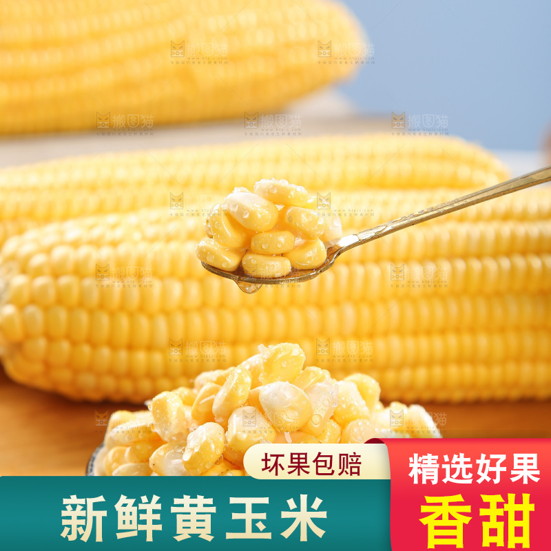 浅底上的黄玉米