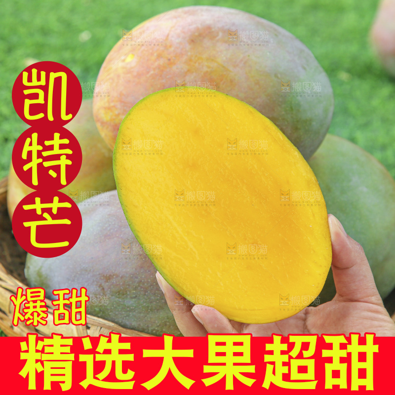 手里拿着新鲜凯特芒