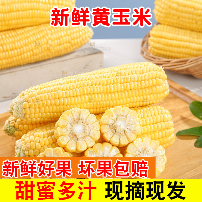 浅底上的黄玉米