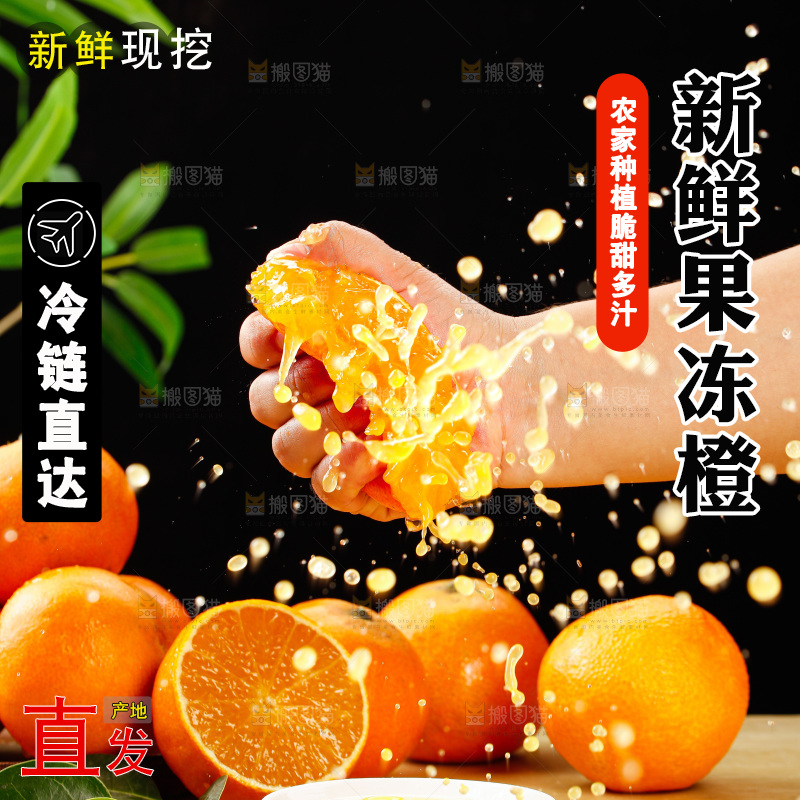 浅底上的爱媛果冻橙