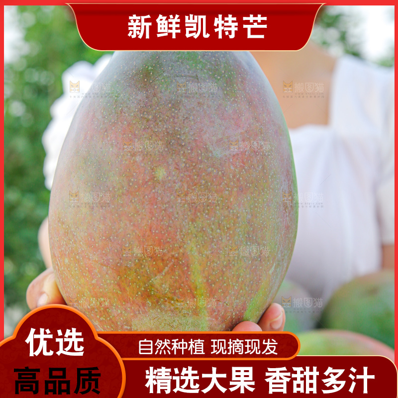 手里拿着新鲜凯特芒