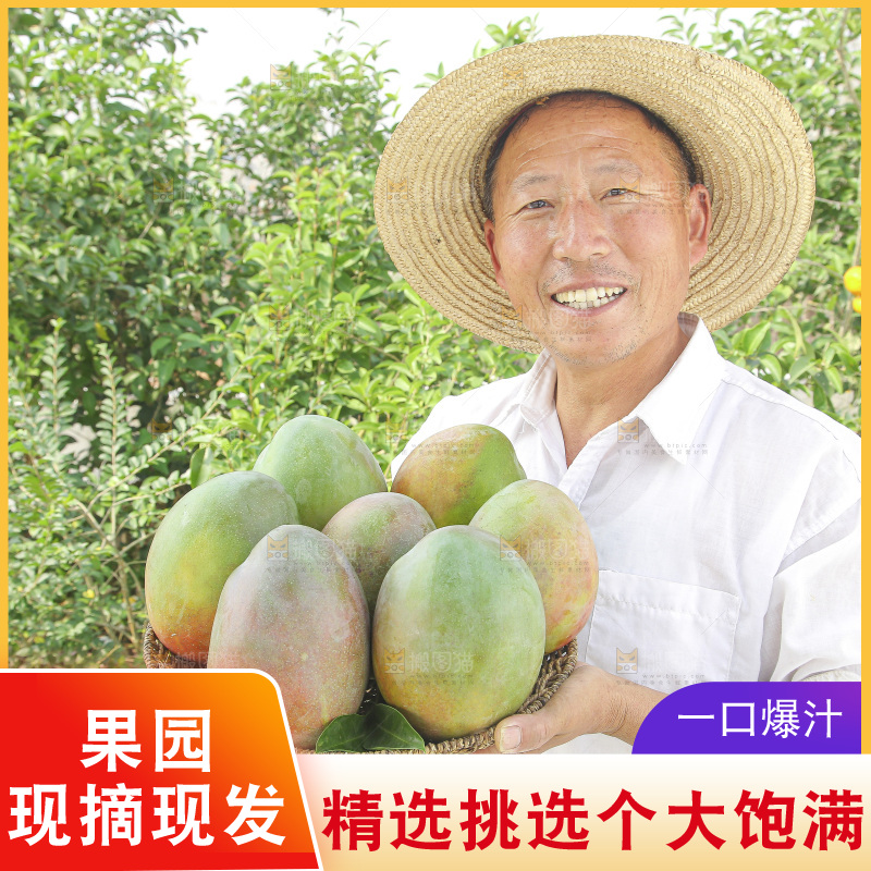 手里拿着新鲜凯特芒