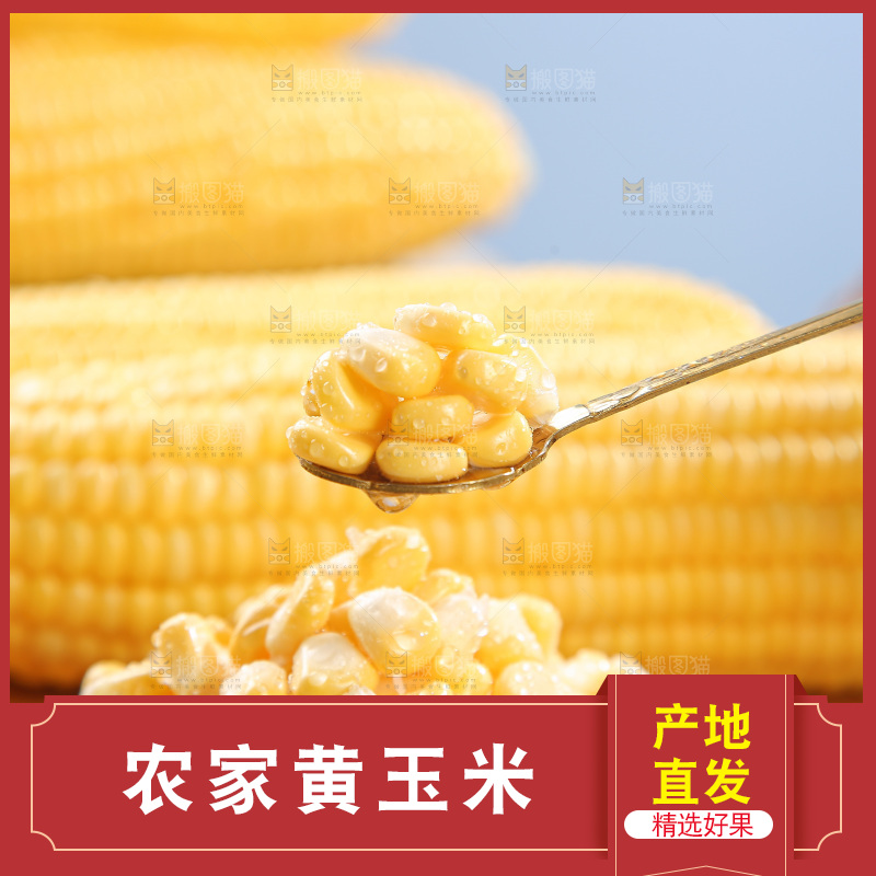 浅底上的黄玉米