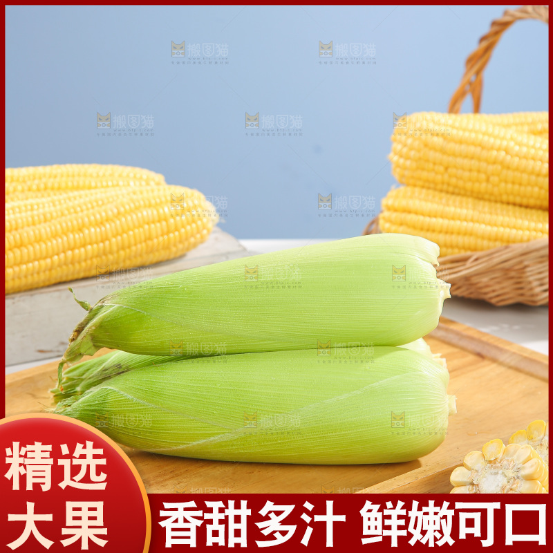 浅底上的黄玉米