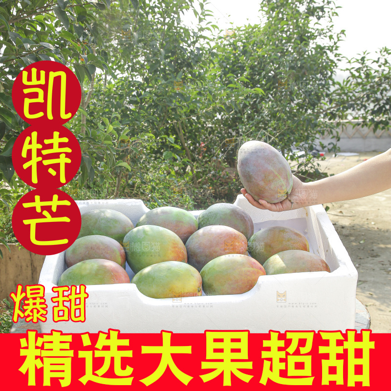 手里拿着新鲜凯特芒