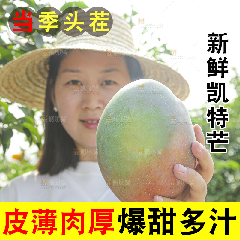手里拿着新鲜凯特芒