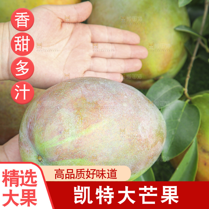 地上放着新鲜凯特芒