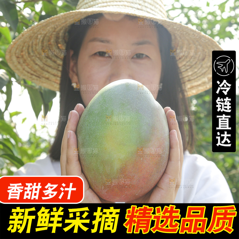 手里拿着新鲜凯特芒