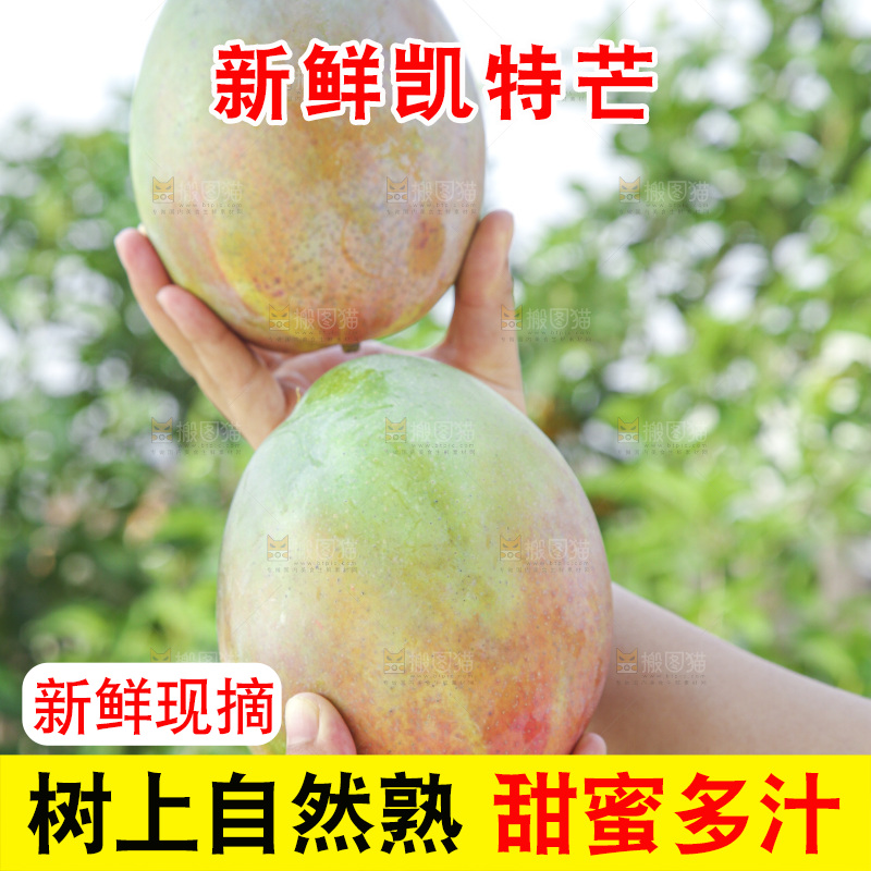 手里拿着新鲜凯特芒