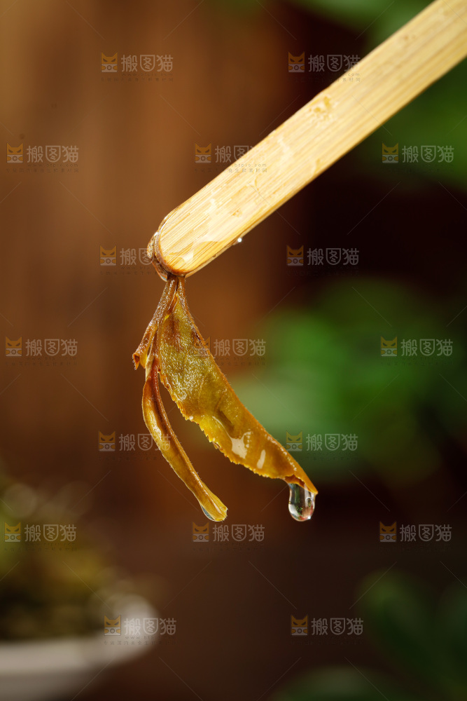 深底上的白茶