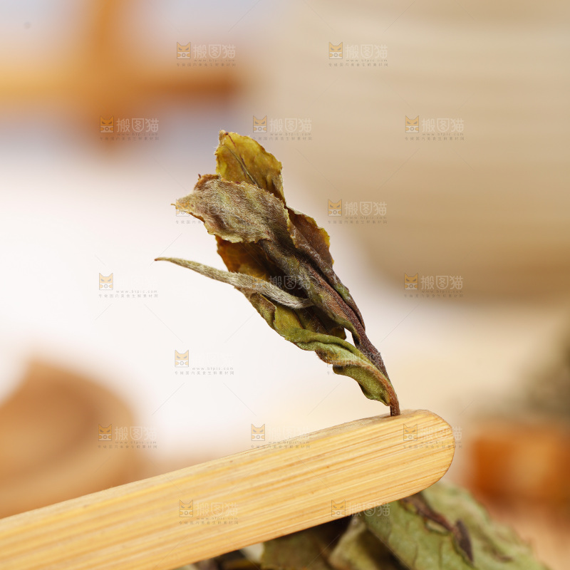 浅底上的白茶