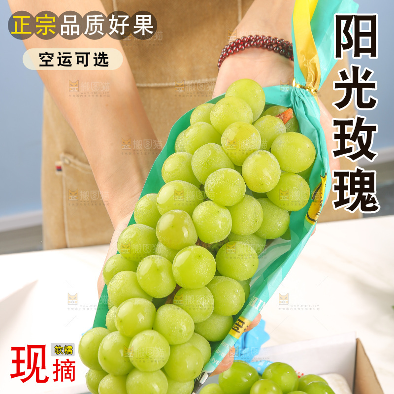浅底上的阳光玫瑰