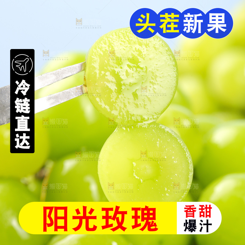 浅底上的阳光玫瑰
