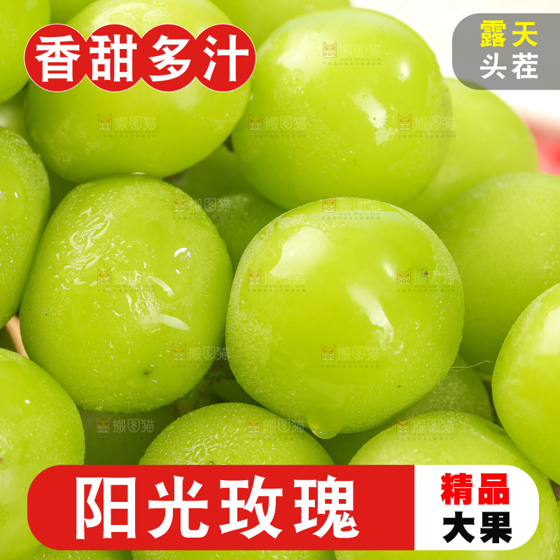 浅底上的阳光玫瑰