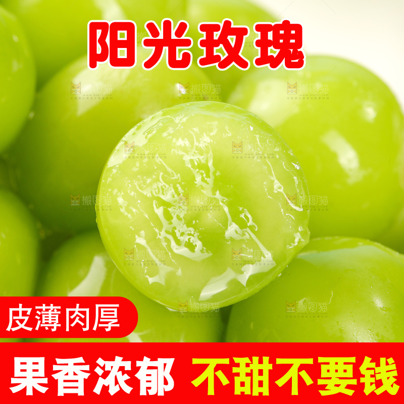 浅底上的阳光玫瑰