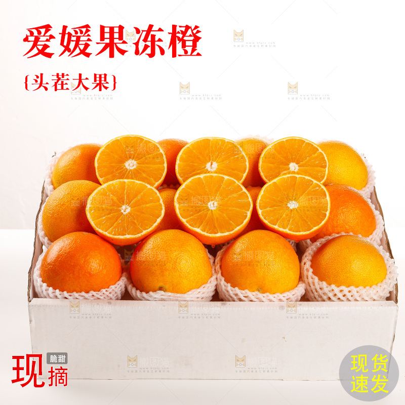 白底上的爱媛果冻橙