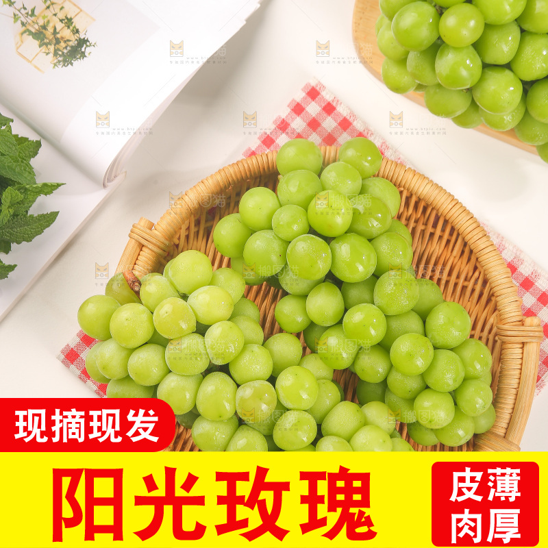 浅底上的阳光玫瑰