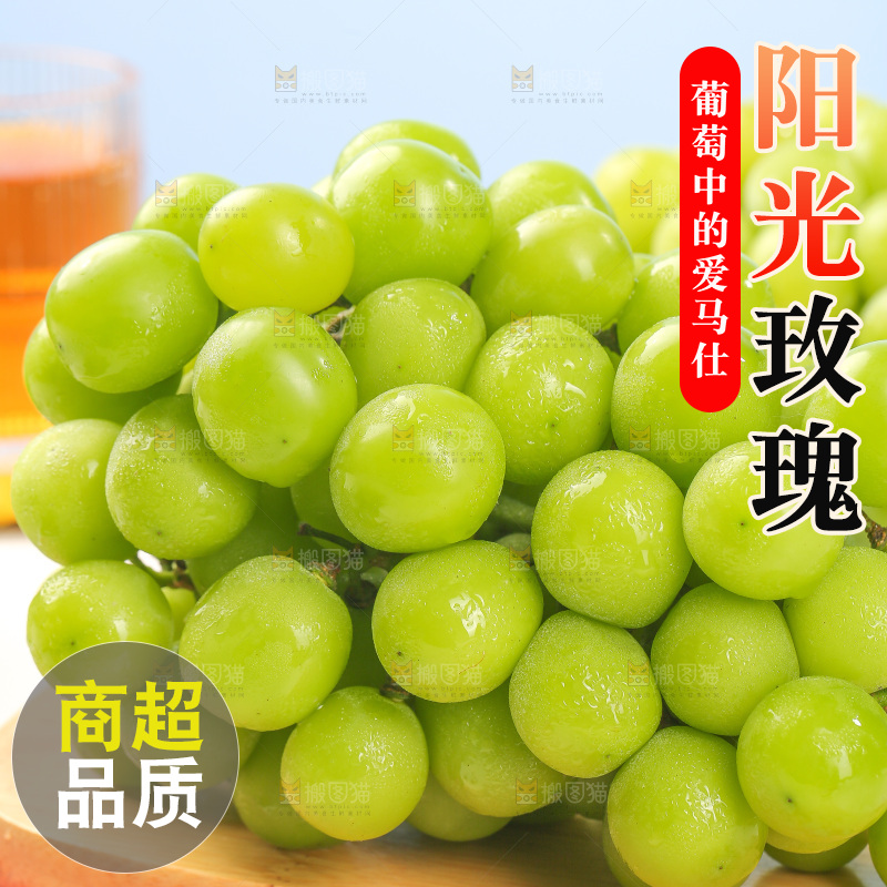 浅底上的阳光玫瑰