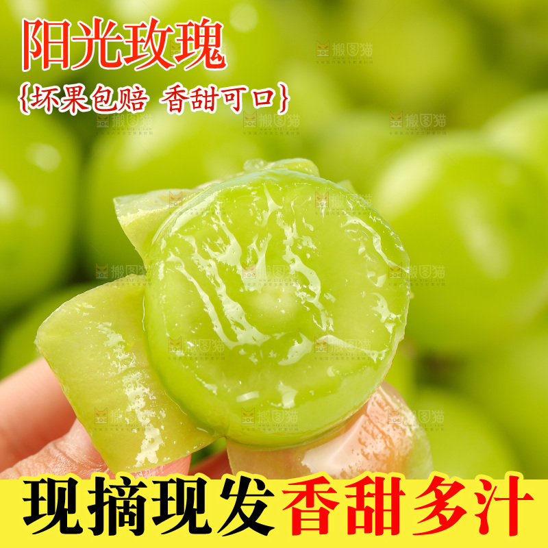 浅底上的阳光玫瑰
