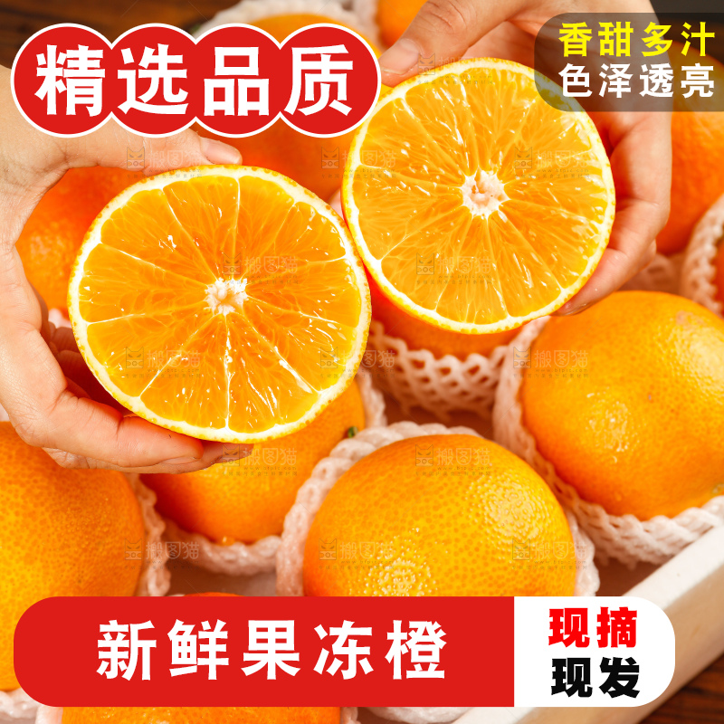 深底上的爱媛果冻橙