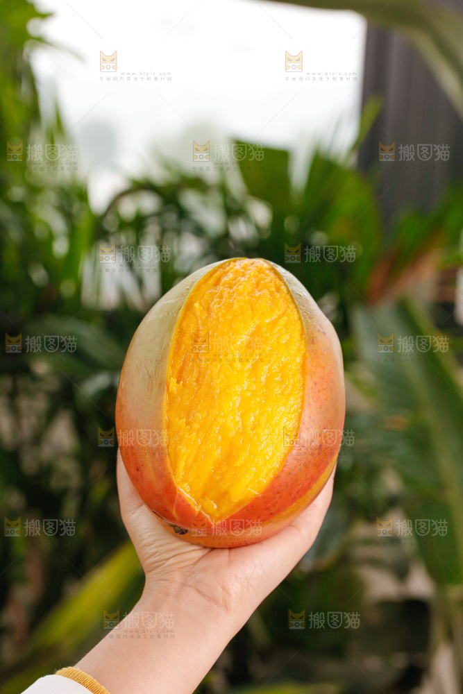 手里拿着凯特芒