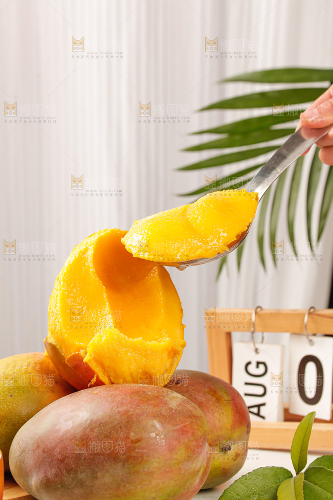 浅底上的凯特芒