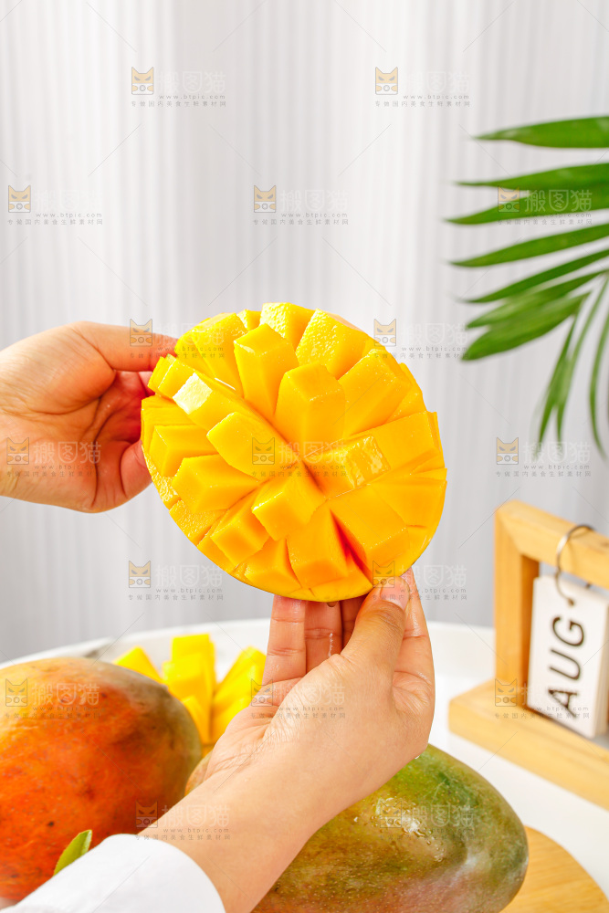 手里拿着凯特芒