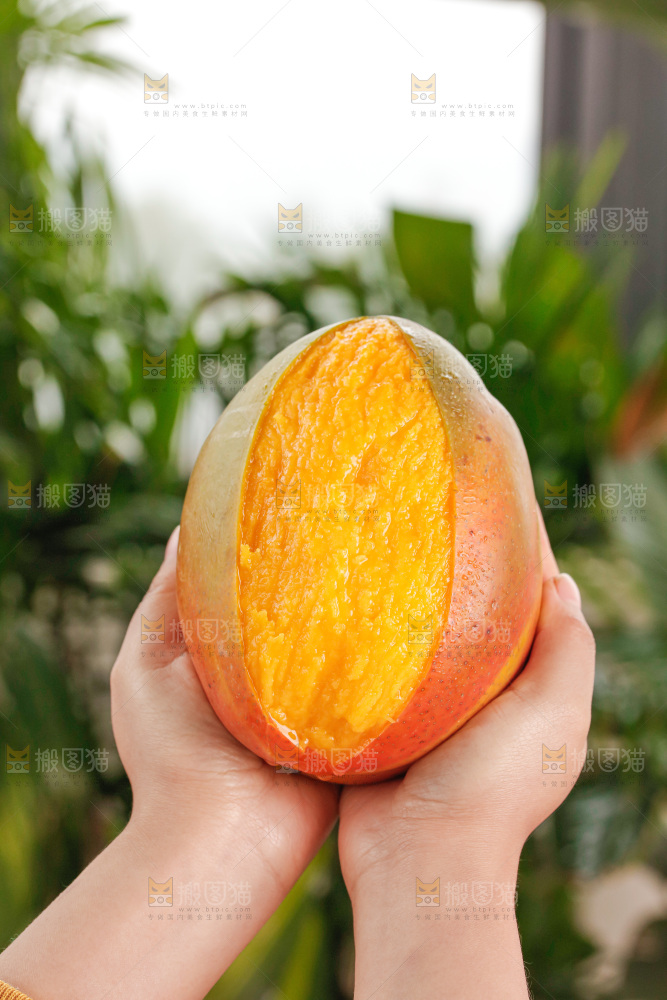 手里拿着凯特芒