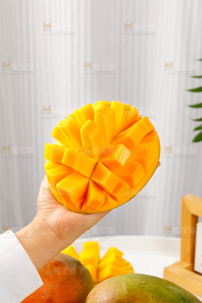手里拿着凯特芒